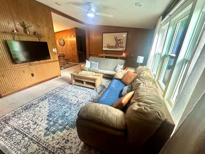Living room with mounted television and wood paneling